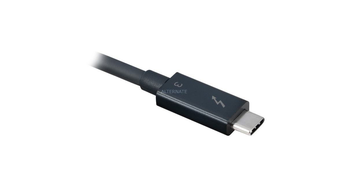 OWC Thunderbolt 3/2x DisplayPort Adapter(schwarz, Outlet)