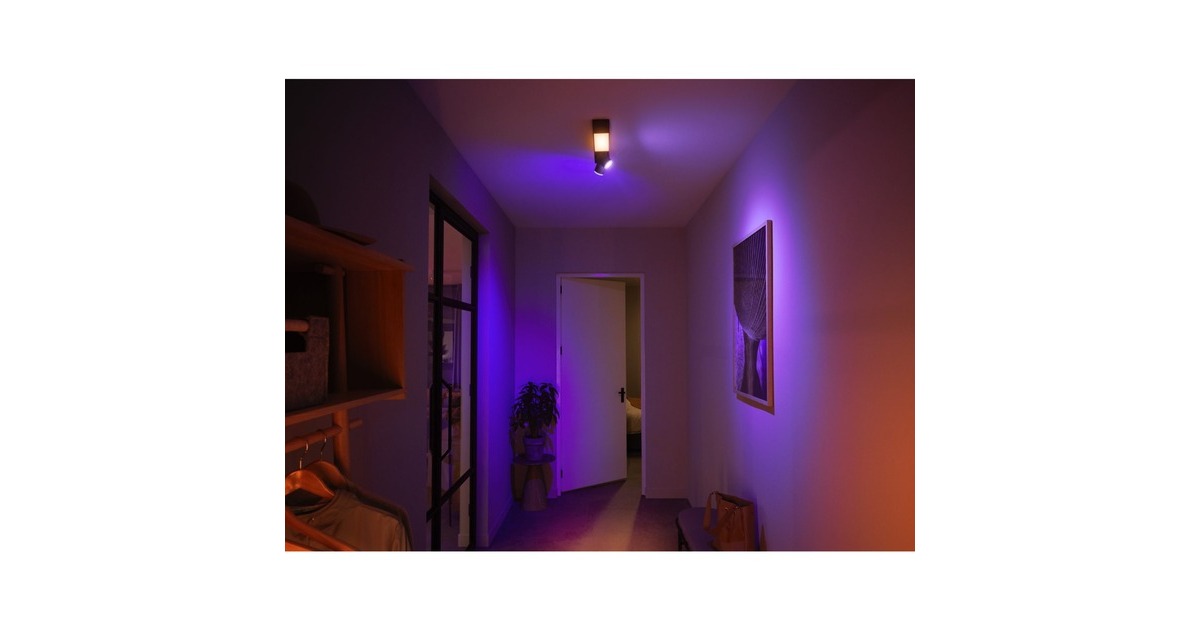Philips Hue White & Color Ambiance Fugato 2er-Spot, LED-Leuchte(weiß)