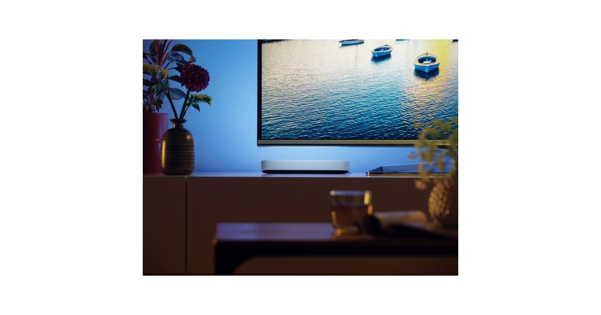 Philips Hue White & Color Ambiance Play Lightbar, LED-Leuchte(weiß, Doppelpack)