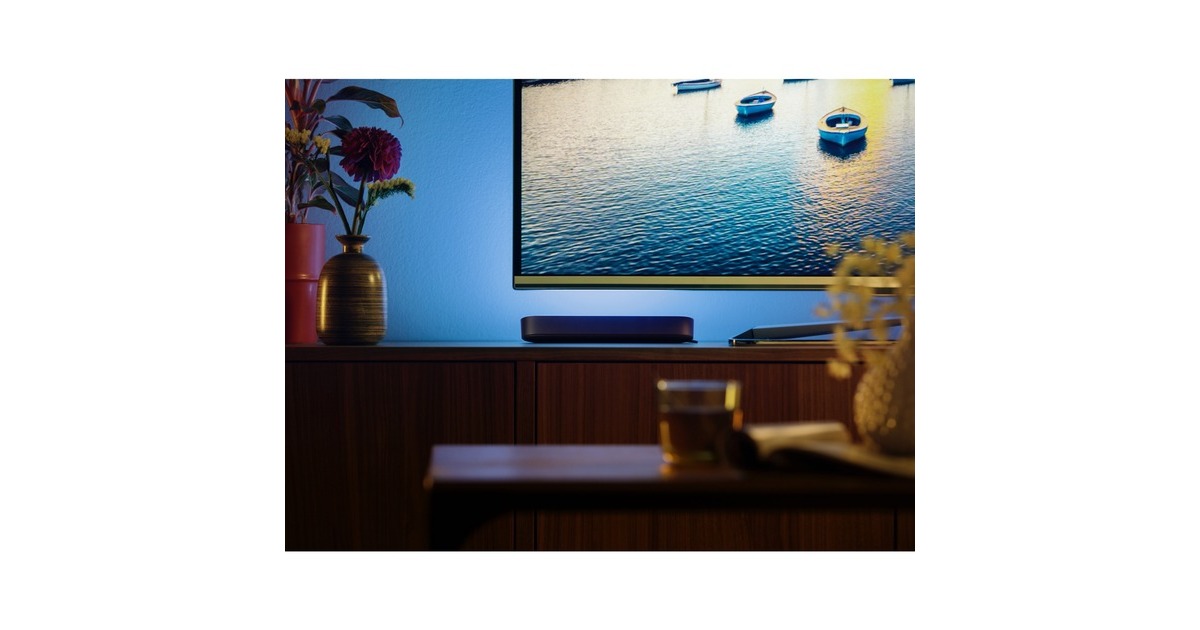 Philips Hue White & Color Ambiance Play Lightbar, LED-Leuchte(schwarz, Doppelpack)