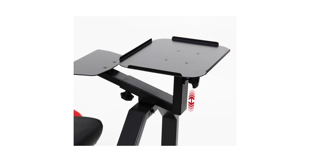 RaceRoom Konsolen - Ablage für RR Home Simulator(schwarz)