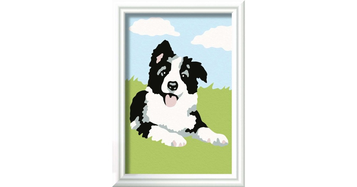 Ravensburger Malen nach Zahlen - Border Collie Welpe
