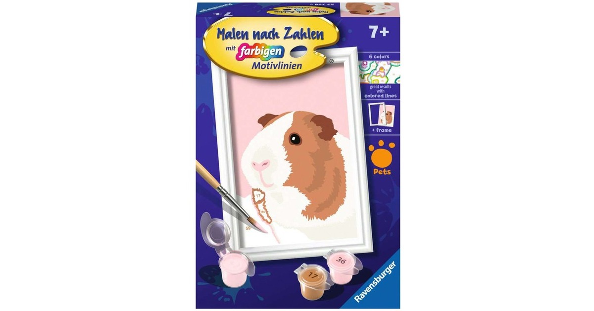Ravensburger Malen nach Zahlen - Niedliches Meerschweinchen