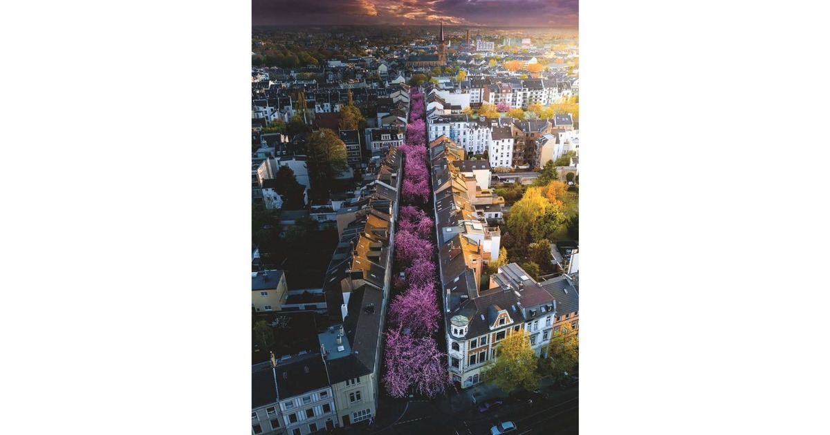 Ravensburger Puzzle: Blühendes Bonn (1500 Teile)