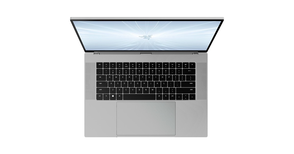 Razer Blade 16 -2024- (RZ09-0510TGM4-R3G1), Gaming-Notebook(schwarz, Windows 11 Home 64-Bit, 40.6 cm (16 Zoll) & 120 Hz Display, 2 TB SSD)