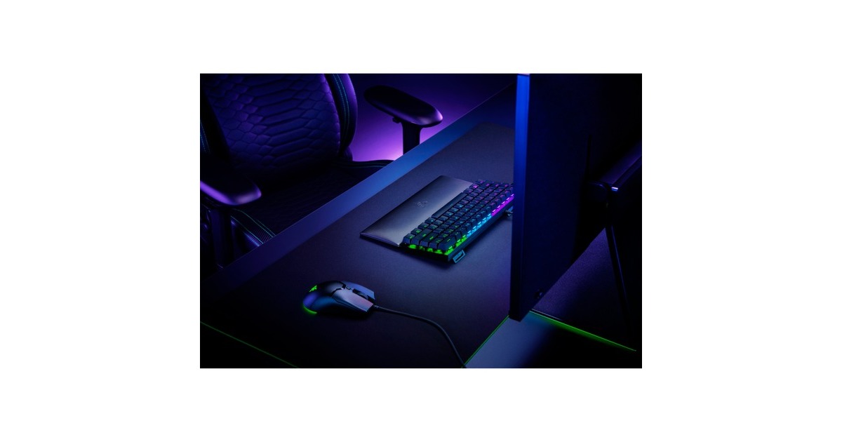 Razer Ergonomische Handgelenkauflage für Mini-Tastaturen(schwarz)