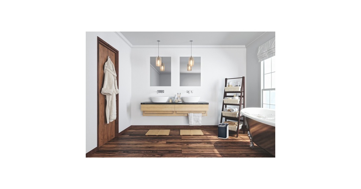 Rowenta Mini Excel Aqua SO9281, Heizlüfter(grau/weiß)