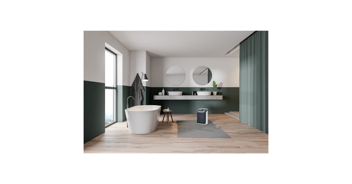 Rowenta Mini Excel Aqua SO9281, Heizlüfter(grau/weiß)