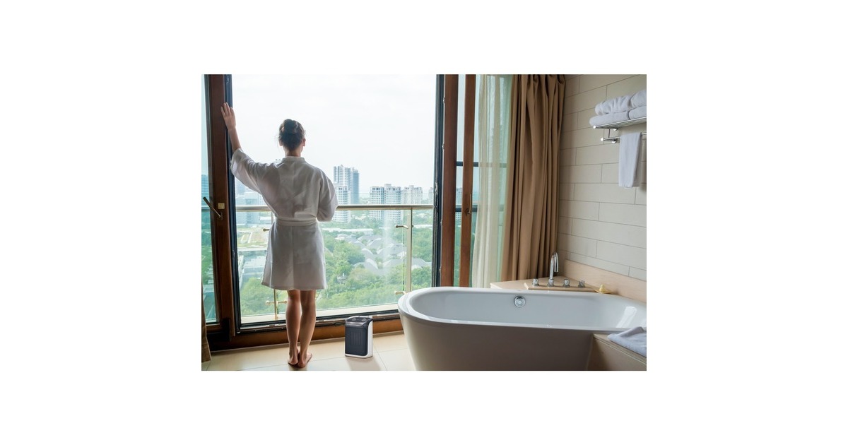 Rowenta Mini Excel Aqua SO9281, Heizlüfter(grau/weiß)