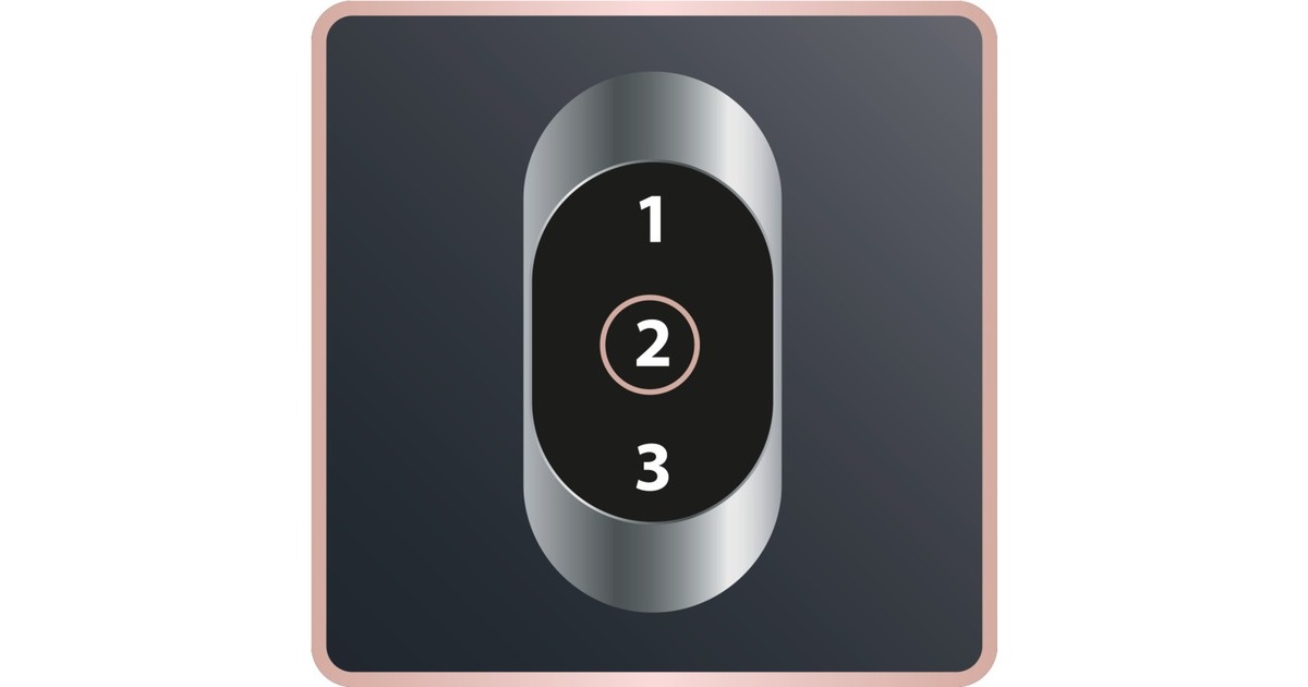 Rowenta Studio Dry Glow CV 5830, Haartrockner(schwarz/roségold)