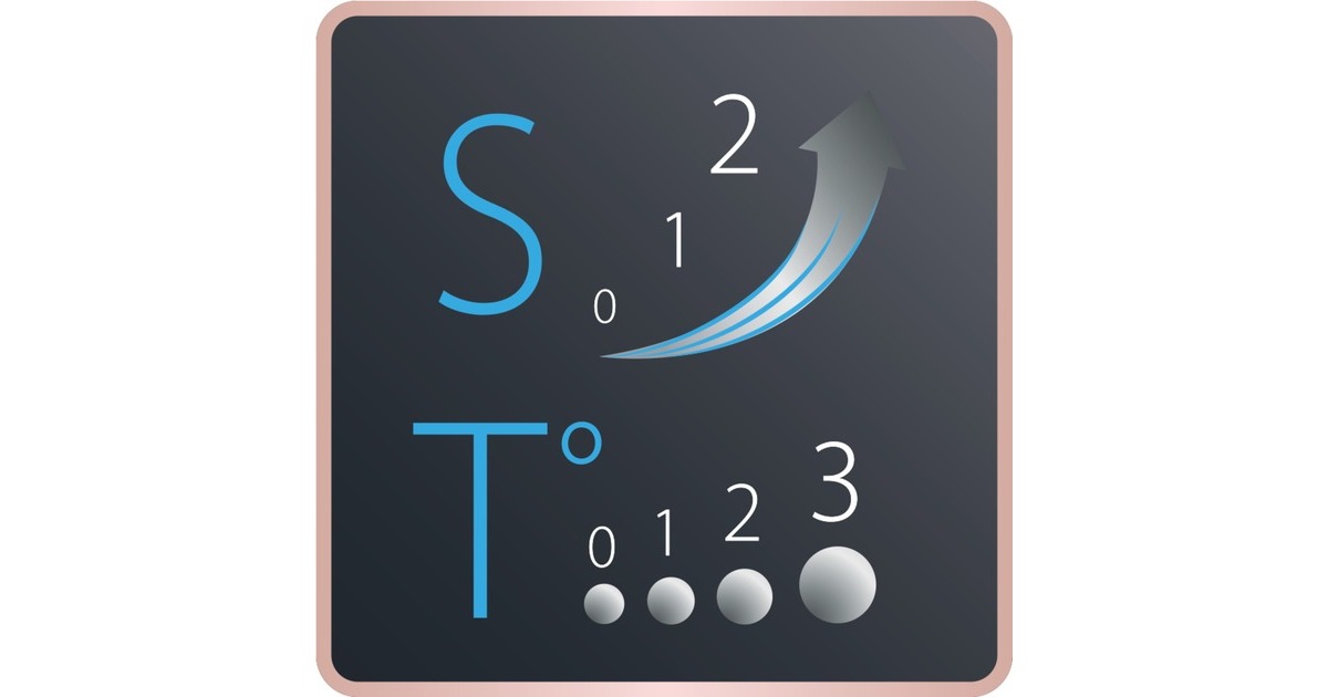 Rowenta Studio Dry Glow CV 5830, Haartrockner(schwarz/roségold)