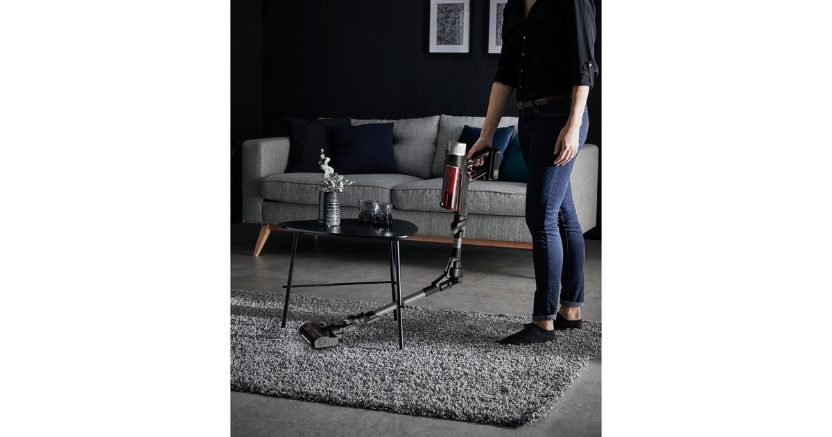 Rowenta X-Force Flex 9.60 Animal RH2078, Stielstaubsauger(schwarz/rot)