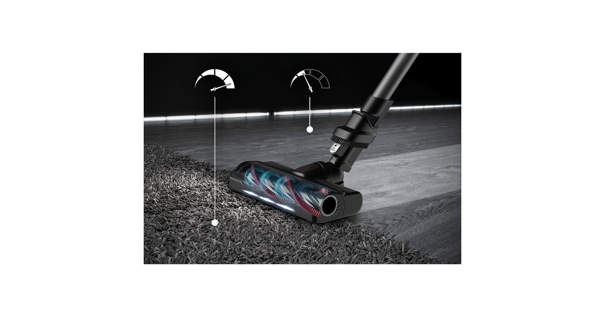 Rowenta X-Force Flex 9.60 Animal RH2078, Stielstaubsauger(schwarz/rot)