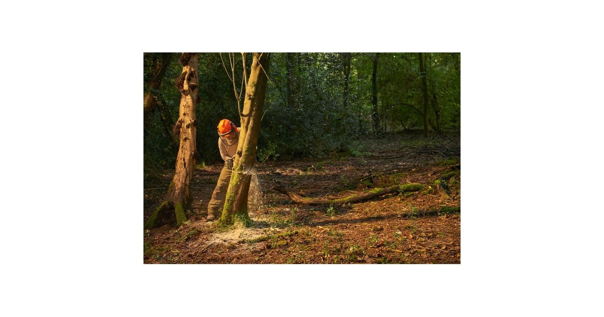 Ryobi MAX POWER Akku-Kettensäge RY36CSX35A-150, 36Volt, Elektro-Kettensäge(grün/schwarz, Li-Ionen Akku 5Ah)