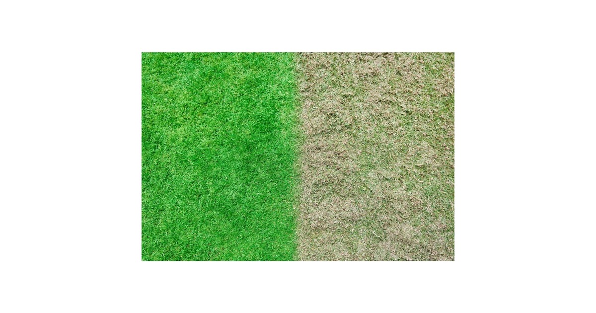 Ryobi ONE+ Brushless Akku-Vertikutierer RY18SFX35A-0, 18 Volt(grün/schwarz, ohne Akku und Ladegerät)