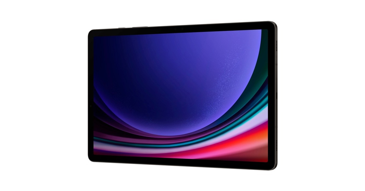 SAMSUNG Galaxy Tab S9 256GB, Tablet-PC(graphit, Android 13)