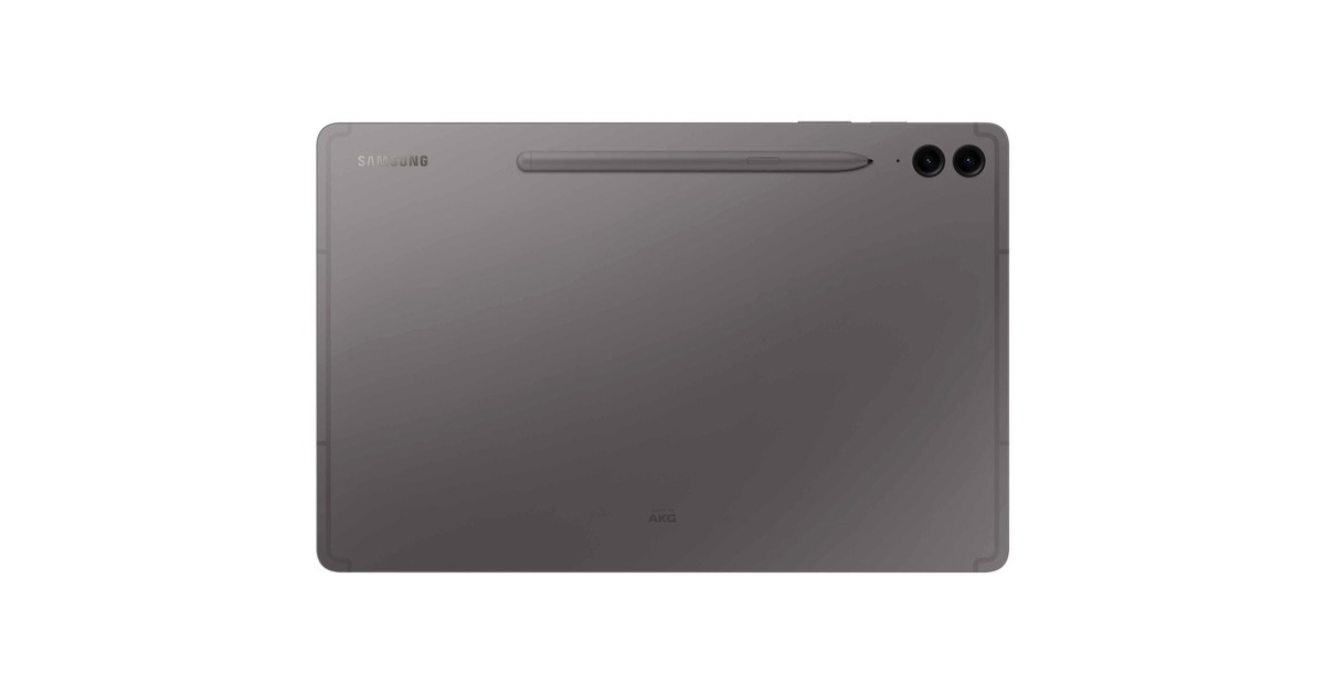 SAMSUNG Galaxy Tab S9 FE+ 256GB, Tablet-PC(grau, Gray, Android 13)