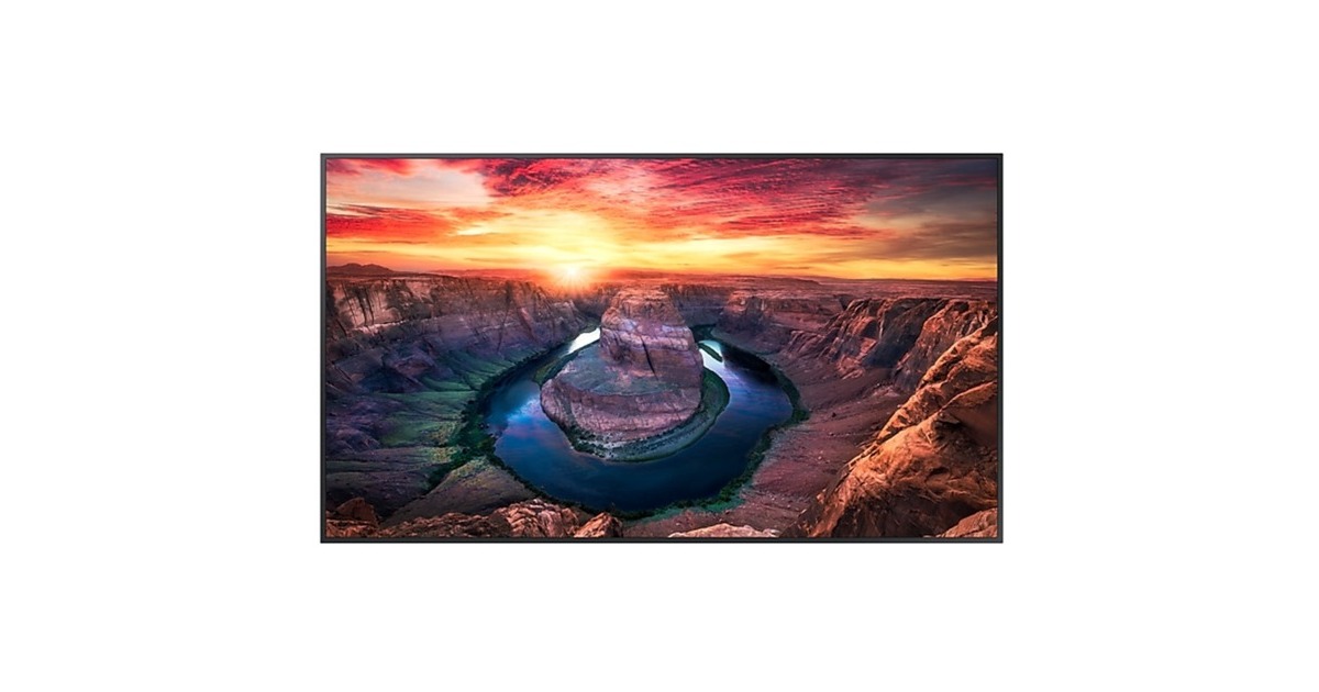 SAMSUNG QM55B, Public Display(schwarz, UltraHD/4K, WLAN, IPX5, HDMI)