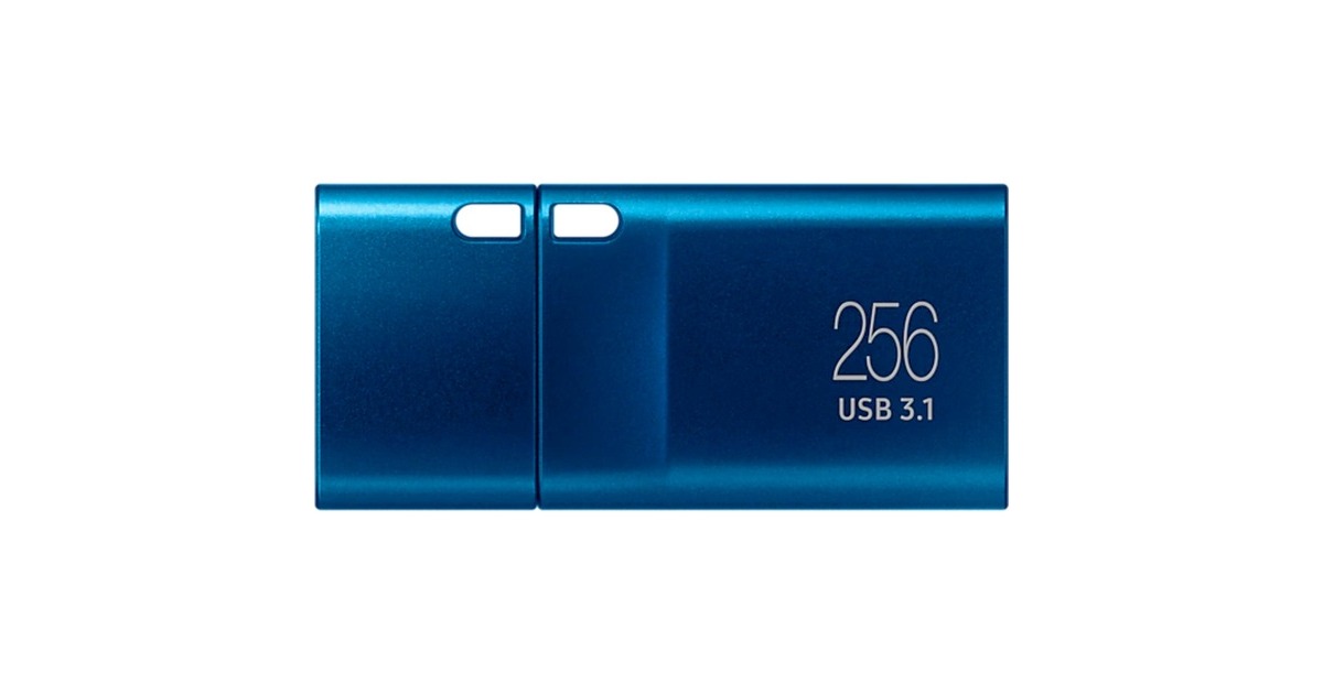 SAMSUNG Type-C 256 GB, USB-Stick(blau, USB-C 3.2 Gen 1)