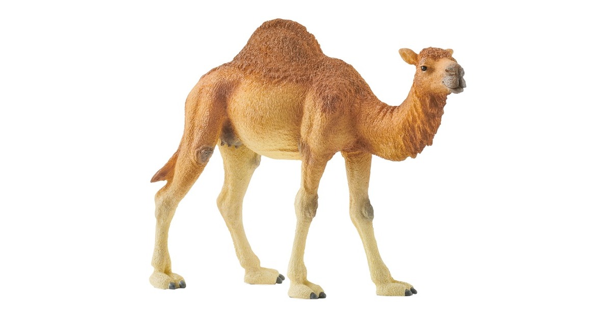 Schleich Wild Life Dromedar, Spielfigur