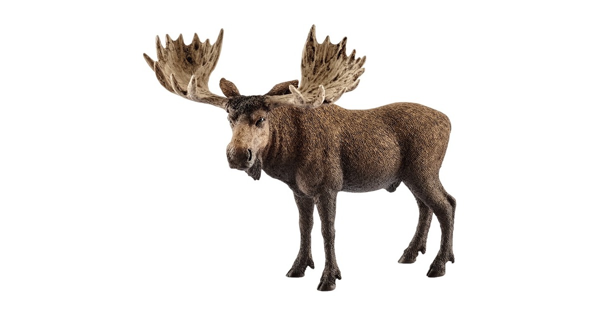 Schleich Wild Life Elch Bulle, Spielfigur