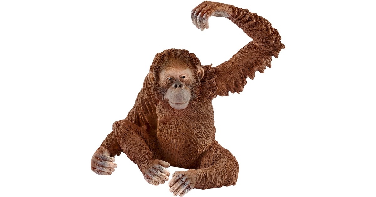 Schleich Wild Life Orang-Utan Weibchen, Spielfigur