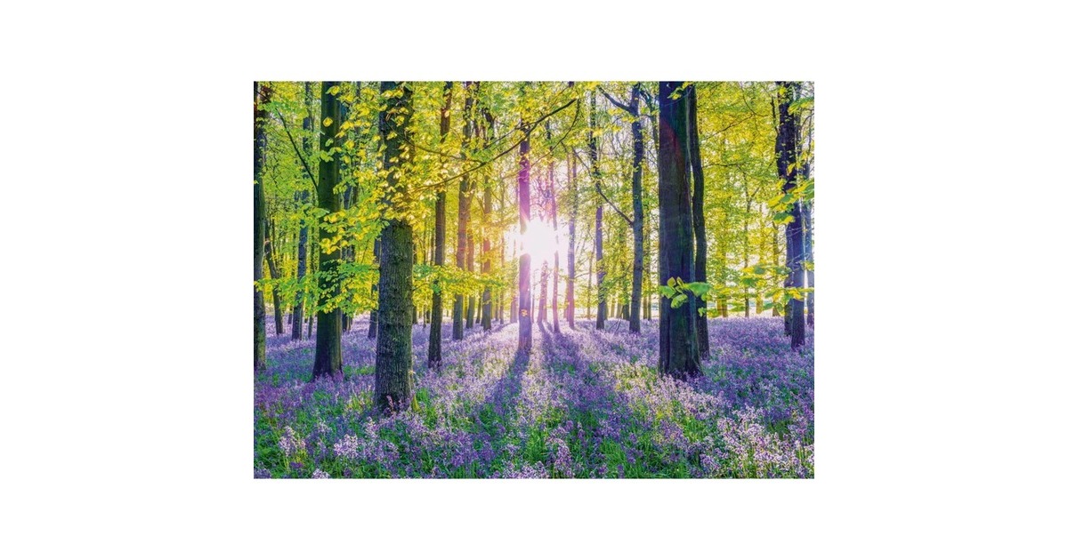 Schmidt Spiele Zarte Glockenblumen im Wald, Puzzle(1000 Teile)