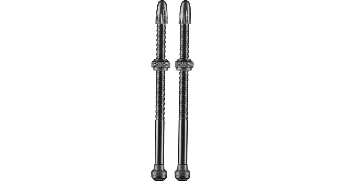 Schwalbe Schwalb Tubeless-Ventil, 100mm(schwarz, 2er Set)