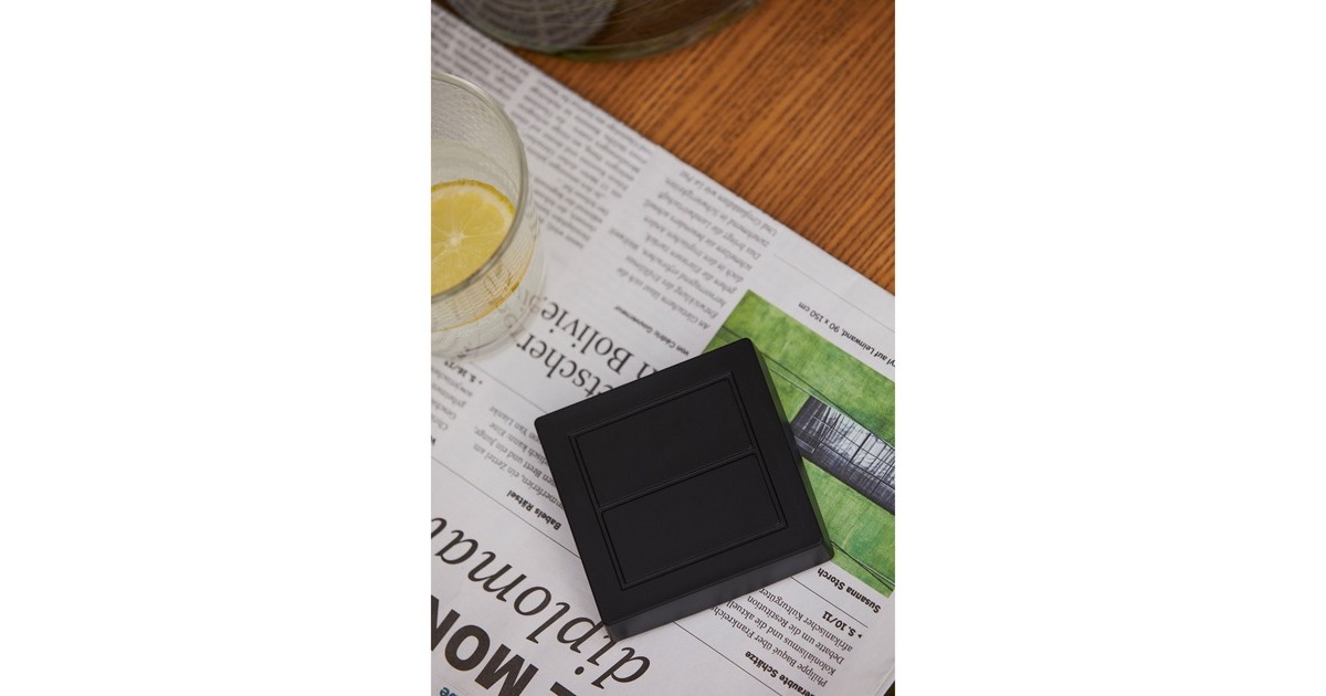 Senic Friends of Hue Outdoor Switch, Taster(schwarz)