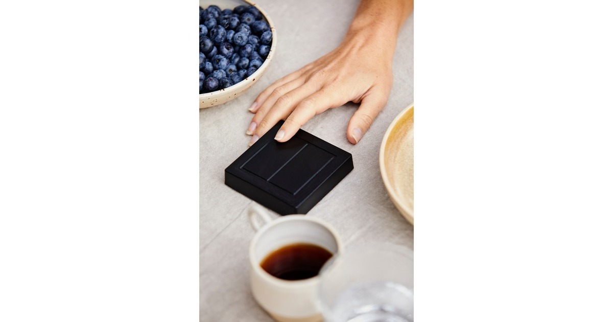 Senic Friends of Hue Outdoor Switch, Taster(schwarz)