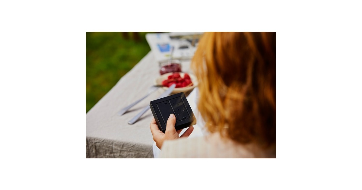 Senic Friends of Hue Outdoor Switch, Taster(schwarz)