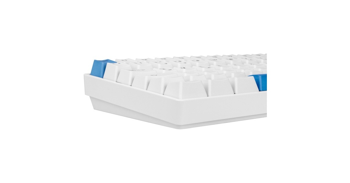 Sharkoon SKILLER SGK50 S3 PBT, Gaming-Tastatur(weiß/hellblau, DE-Layout, Gateron G Pro 3.0 Yellow)