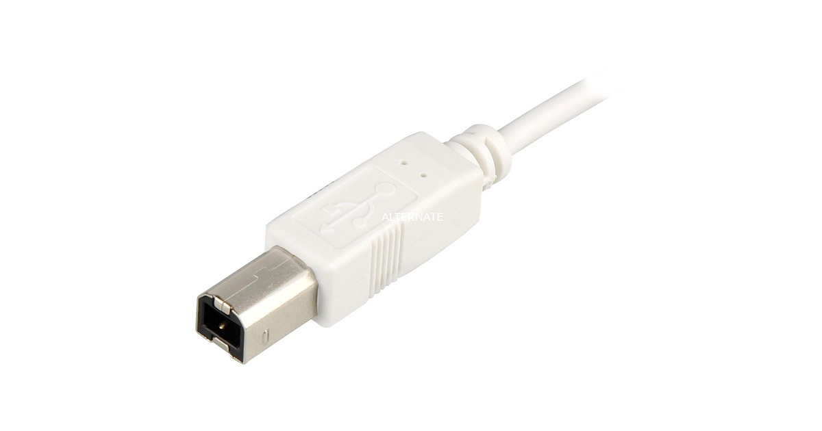 USB-B Stecker(weiß, 0,5 Meter)