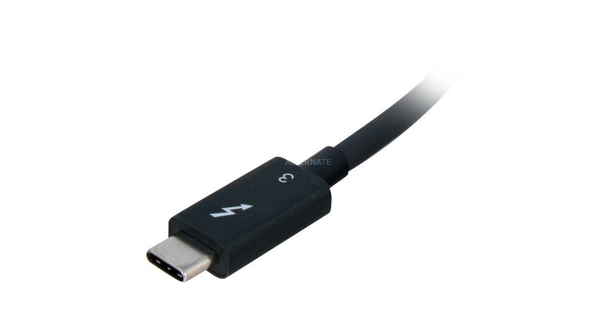 Dual DisplayPort(grau/schwarz, 30cm)
