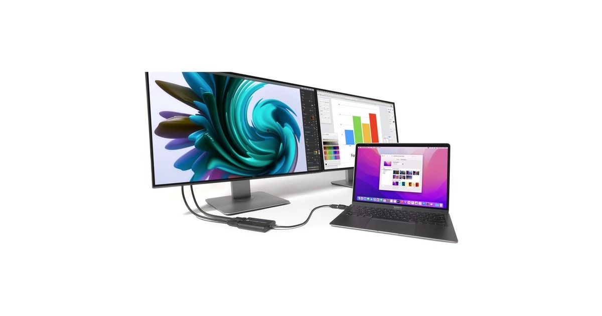 Dual 4K DisplayPort(schwarz, 30cm, für M1 und M2 Macs)