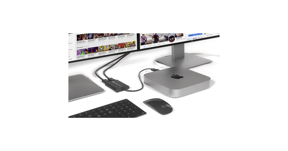 Dual 4K DisplayPort(schwarz, 30cm, für M1 und M2 Macs)