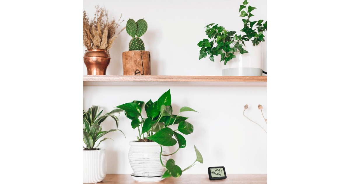 TFA Digitales Thermo-Hygrometer 30.5055, Thermometer(schwarz, 4 Einsatzgebiete: Raumklima, Musikinstrumente, Terrarium, Humidor)