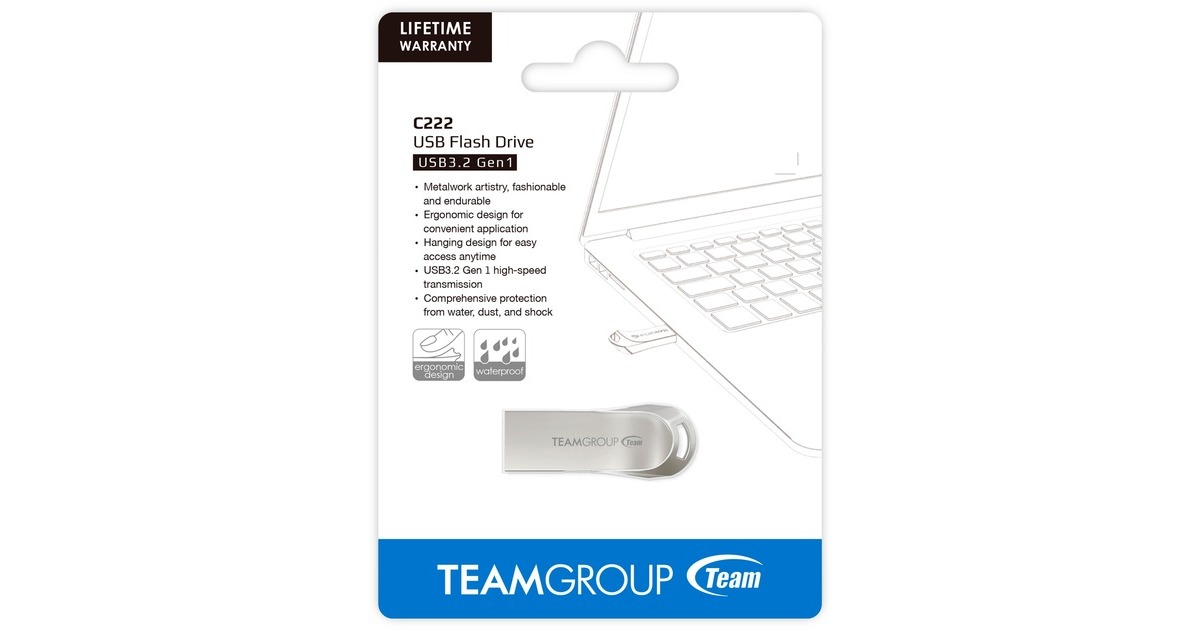 Team Group C222 32 GB, USB-Stick(silber, USB-A 3.2 Gen 1)