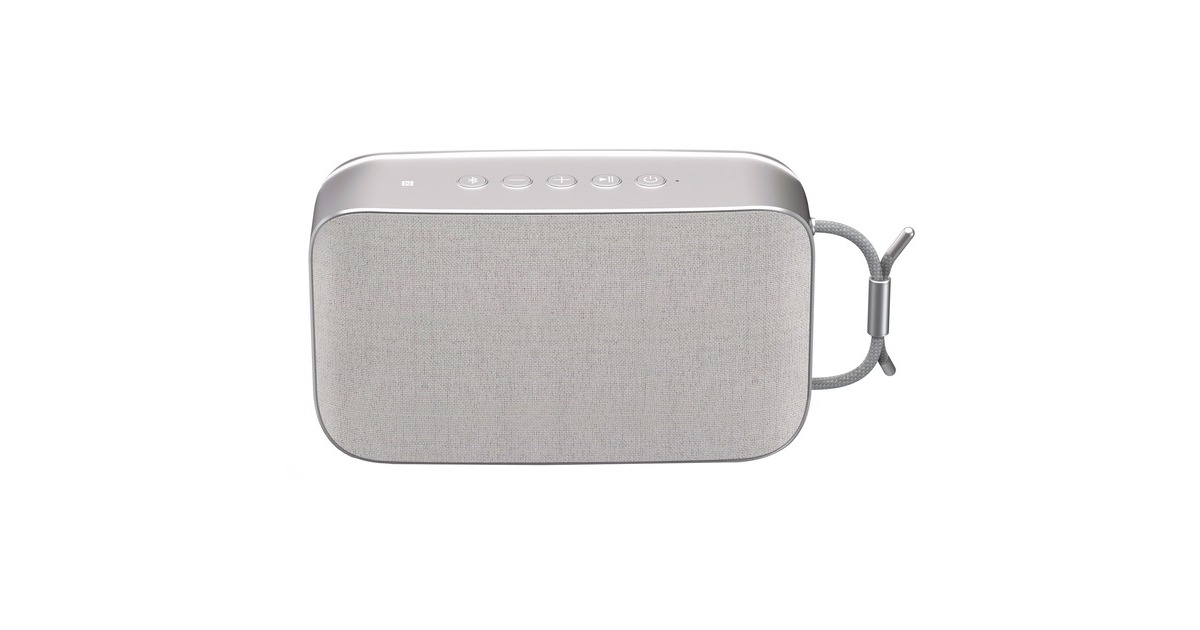 TechniSat BLUSPEAKER TWS XL, Lautsprecher(grau, Bluetooth, NFC, 30W, Klinke)