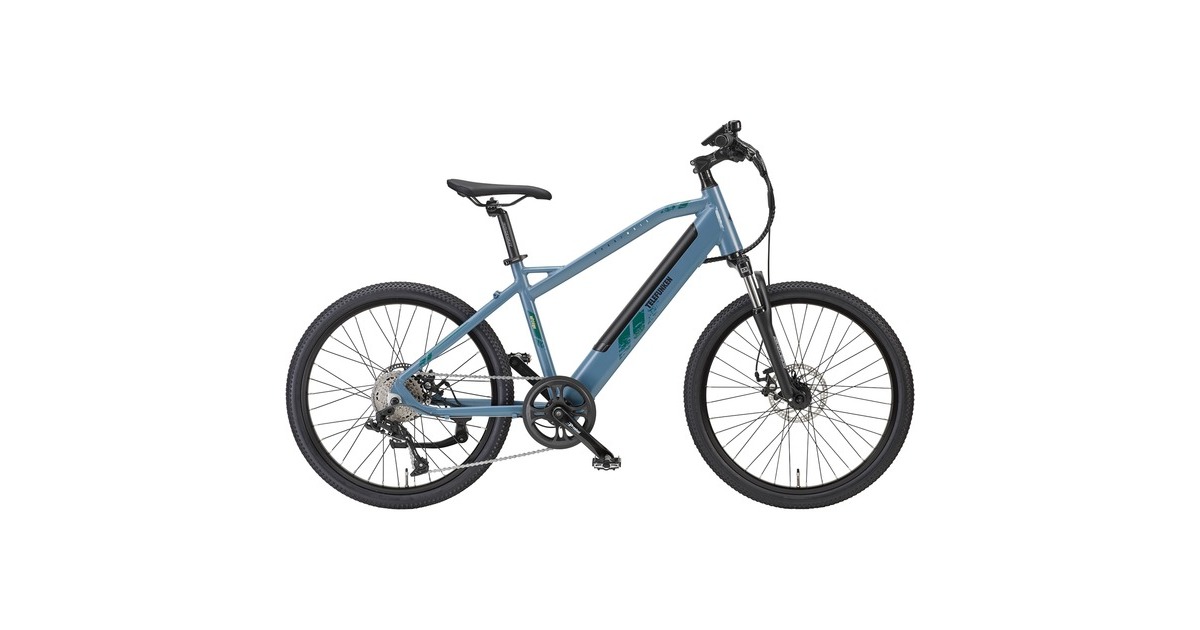 Telefunken Aufsteiger M915, Pedelec(blau, 24", 41 cm Rahmen)