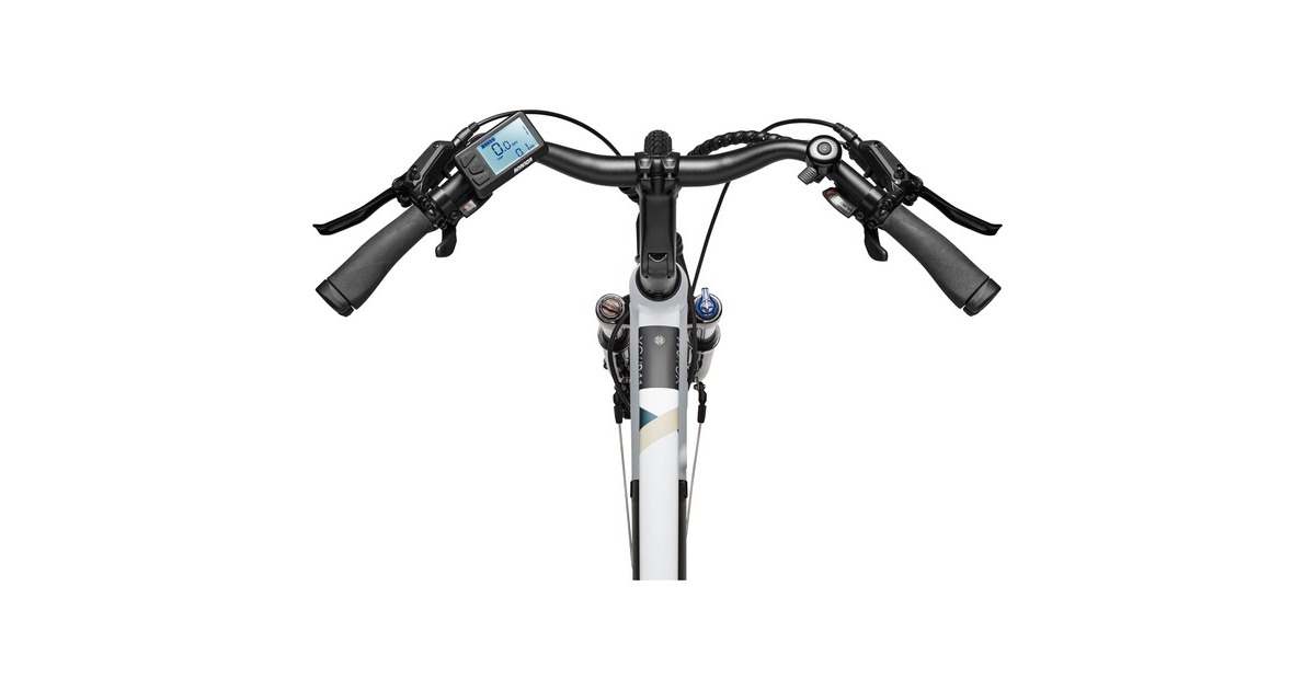 Telefunken Expedition XC941H TRK HR11,6 gy, Pedelec(hellgrau, 28