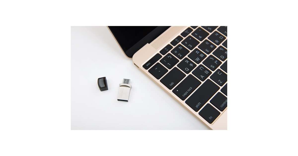 Transcend JetFlash 890 128 GB, USB-Stick(silber)