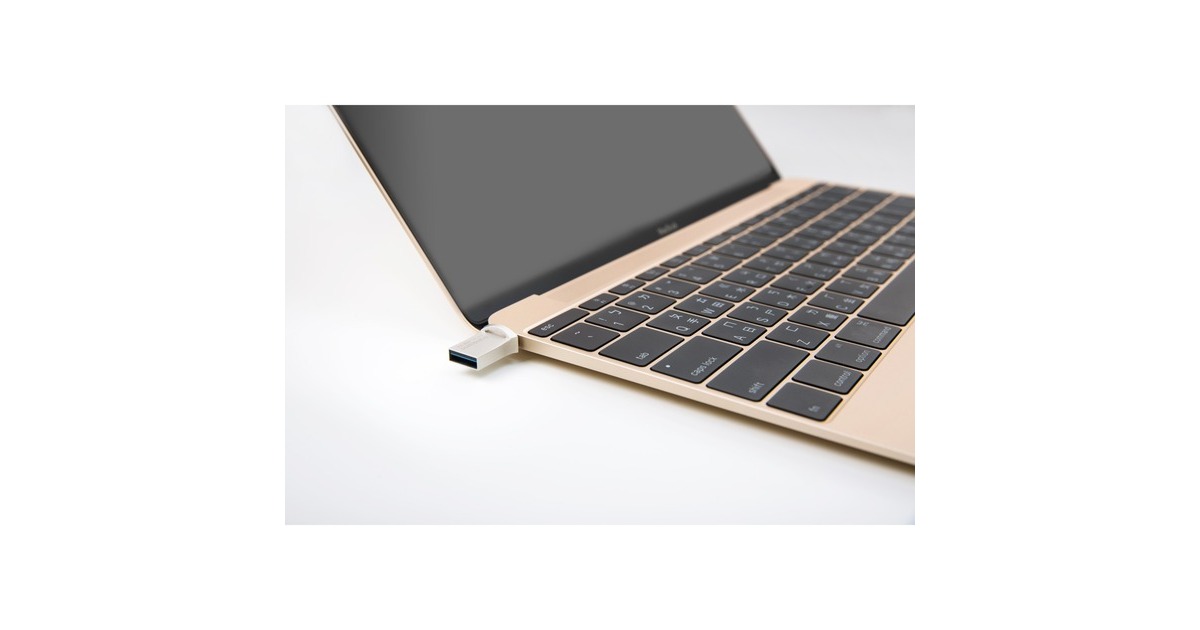 Transcend JetFlash 890 128 GB, USB-Stick(silber)