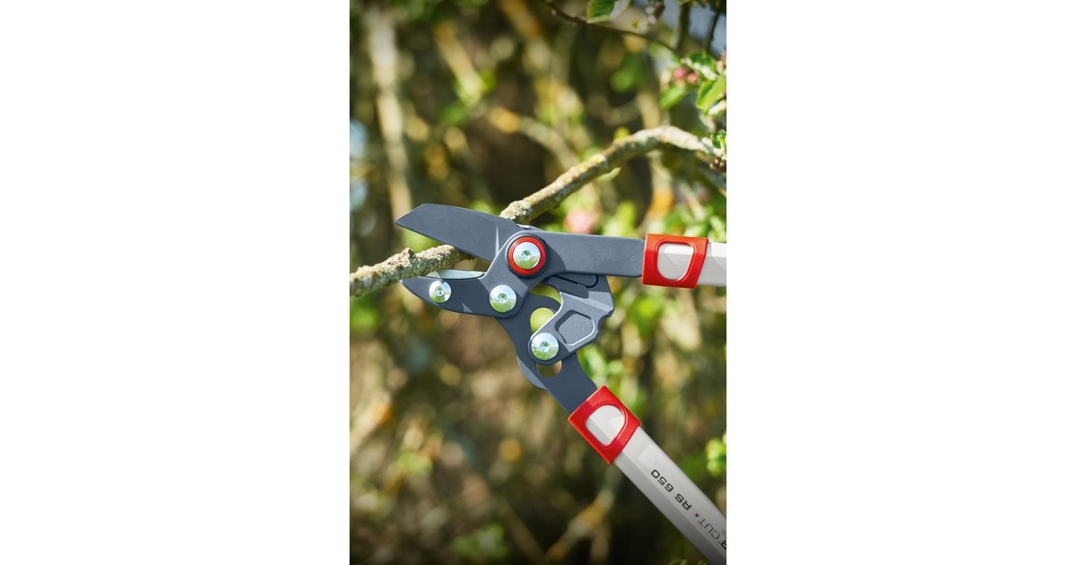WOLF-Garten Amboss-Astschere Power Cut RS 650(rot/grau, 65cm)