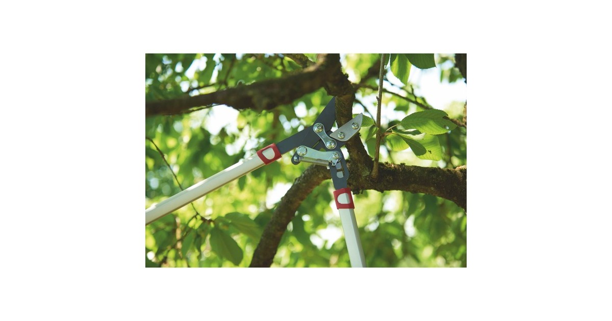 WOLF-Garten Amboss-Astschere Power Cut RS 800 V(rot/silber)