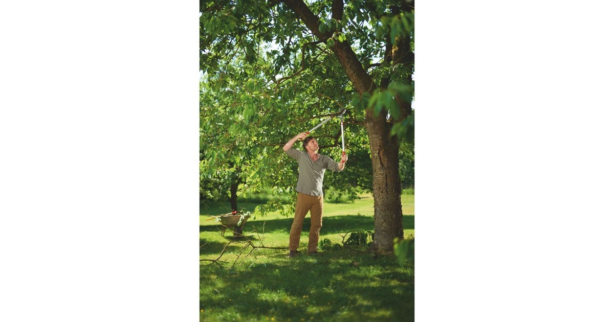 WOLF-Garten Amboss-Astschere Power Cut RS 800 V(rot/silber)