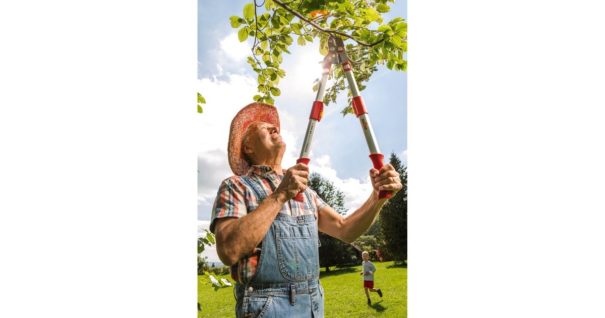 WOLF-Garten Amboss-Astschere Power Cut RS 900 T 