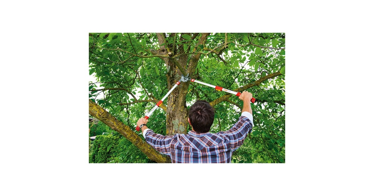 WOLF-Garten Amboss-Astschere Power Cut RS 900 T 