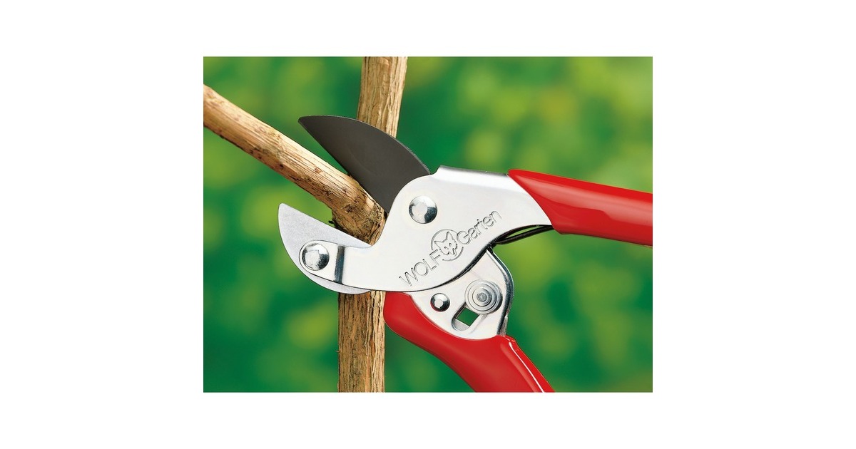 WOLF-Garten Amboss-Gartenschere Aktion RS-EN(rot, Kraftamboss)