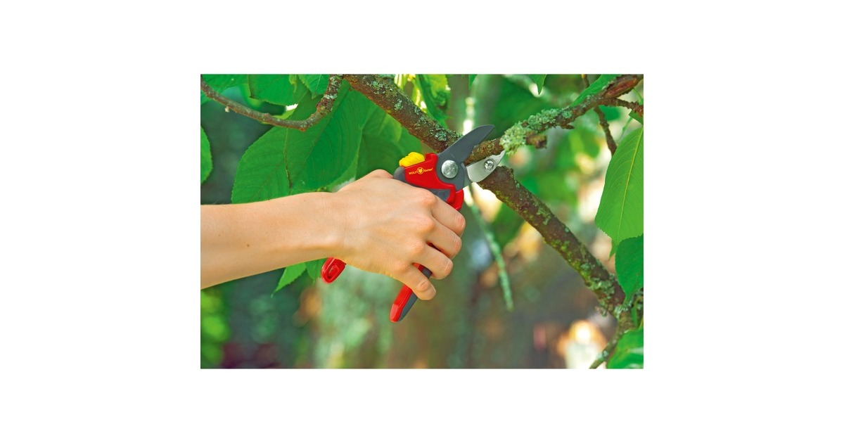 WOLF-Garten Amboss-Gartenschere Premium Plus RS 4000, Astschere(rot/grau)